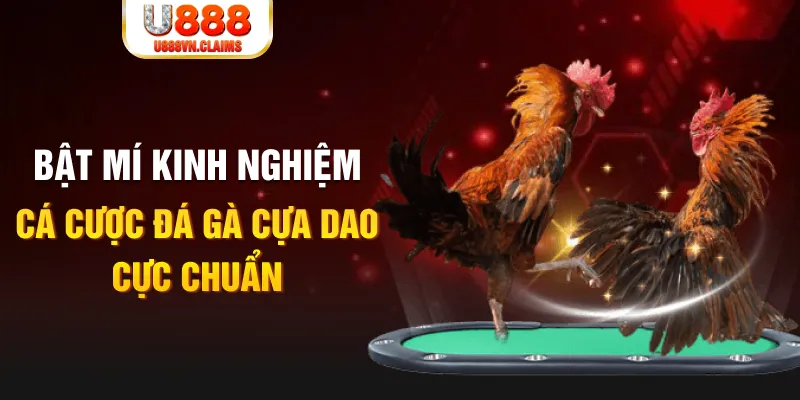 game f88 trong baccarat, ai là người chia bài chính？