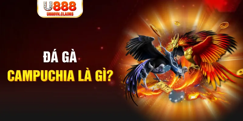 game f88 gà chọi đắk pơ