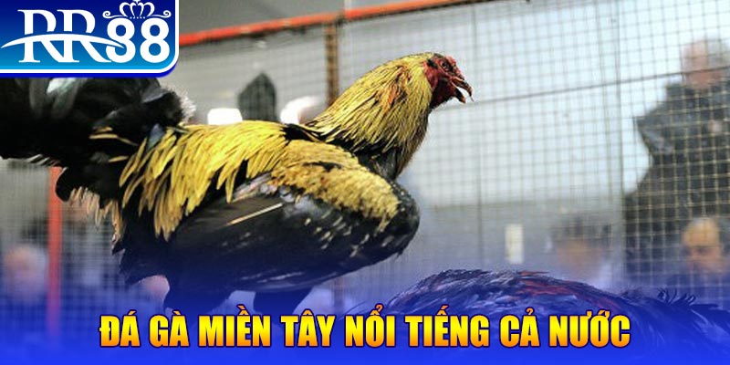 game f88 đăng nhập liêng miễn phí