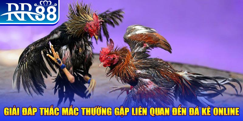 game f88 đăng nhập phỏm tặng tiền