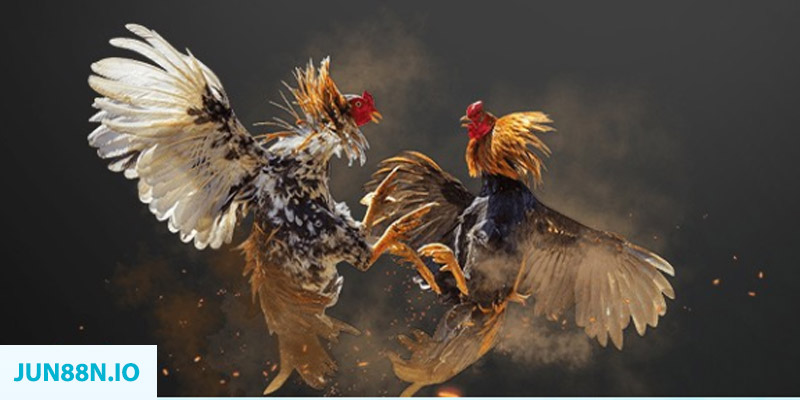 game f88 đăng nhập sòng bạc miễn phí